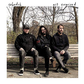 SEBADOH ACT SURPRISED - Vinyl