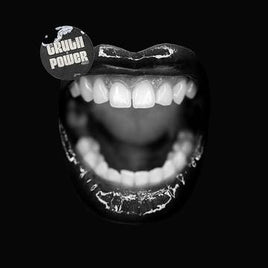 Various Artists The Truth To Power Project - Vinyl