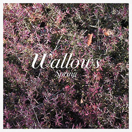 Wallows Spring - Vinyl